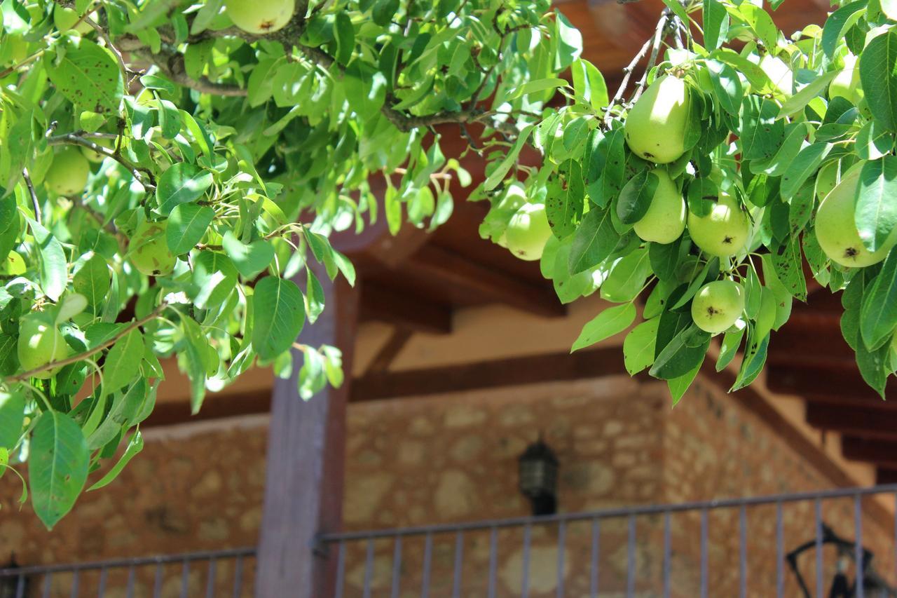 منزل الضيف خارانديا دي لا فيرا  في Complejo Rural La Coronilla المظهر الخارجي الصورة
